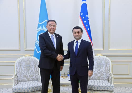 Tashqi ishlar vaziri Turkiy davlatlar tashkiloti Bosh kotibi bilan uchrashdi